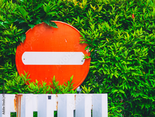 No entry traffic sign partially covered by lush green foliage, blending urban regulation with natural surroundings in a vibrant outdoor street environment.