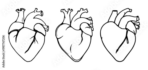 Heart health set with black line art on white background featuring heart symbol, medical icon, anatomy illustration with single line and vascular detail