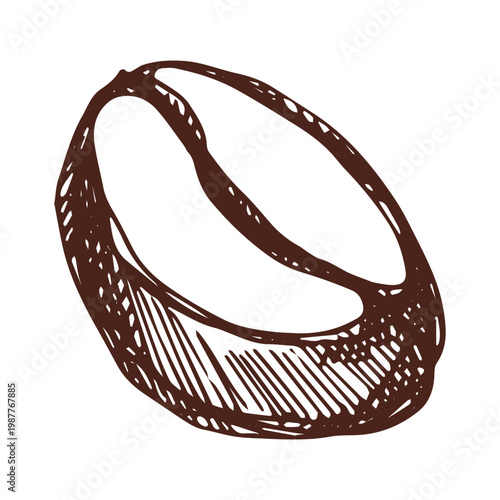 Hand drawn fresh roasted coffee bean Arabica robusta seed doodle Single element for print, web, design, decor