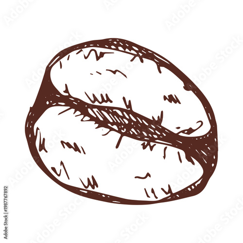 Hand drawn fresh roasted coffee bean Arabica robusta seed doodle Single element for print, web, design, decor