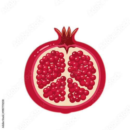 Sliced Pomegranate Half with Red Seeds Vector Illustration Isolated on White Background