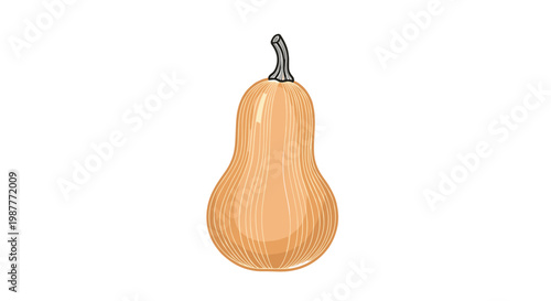 Realistic drawing of a butternut squash with detailed skin texture and a small stem on a white background for food themes.