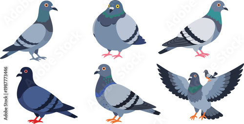 Stylized Pigeon Bird Character Set with Various Poses, Colors, and Actions for Illustrations, Icons, and Graphic Designs