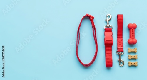 Red dog accessories on blue background.