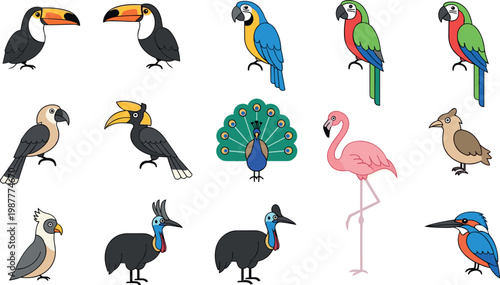 Colorful tropical bird icon set featuring toucan macaw parrot flamingo peacock hornbill cassowary vector collection for wildlife design