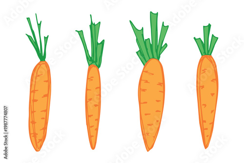 Hand drawn farm carrot plant with green leaves Fresh vegetable doodle set Healthy eco food Organic garden vegetarian food For design, print, packaging, decor, kids books