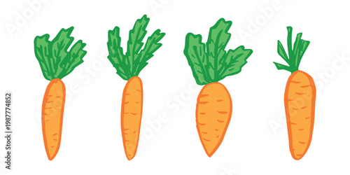 Hand drawn farm carrot plant with green leaves Fresh vegetable doodle set Healthy eco food Organic garden vegetarian food For design, print, packaging, decor, kids books
