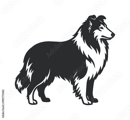 Shetland Sheepdog vector silhouette, black and white Rough Collie dog illustration, standing long-haired herding dog breed icon for pet branding