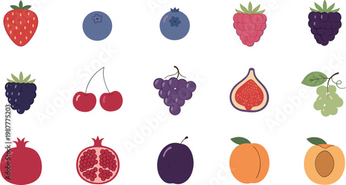 Colorful berry and fruit icon set featuring strawberry blueberry raspberry grape cherry fig pomegranate vector collection for food design