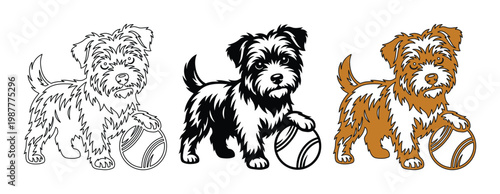 Vintage terrier puppy dog vector set, scruffy puppy playing with ball illustration, hand drawn canine pet sketches in black and brown line art