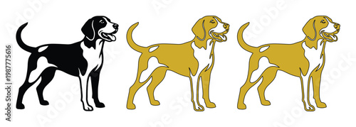Beagle dog vector silhouettes, hunting hound canine illustrations in black and gold, standing pointer dog breed graphics for pet branding