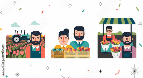 Flat vector illustration set showing farmers working in tulip fields with tractor and selling at flower market