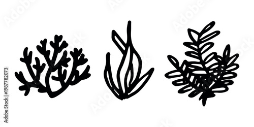 Hand drawn sea coral and seaweed doodle set Tropical underwater flora, aquarium plants, ocean plant, algae, coral reef, leaves, branches