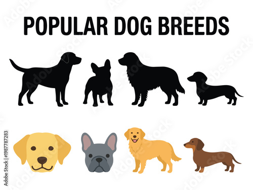 Pet Breed Specific Dog Elements