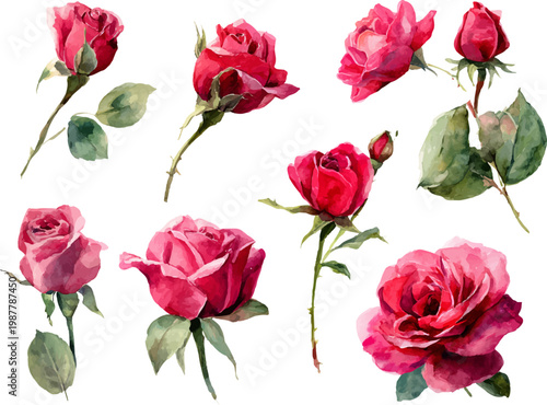 bouquet of pink roses