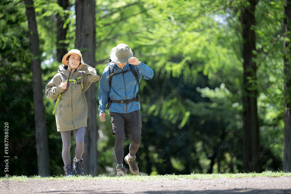 Obraz premium 新緑の春の森の中を歩く夫婦のアウトドア、登山やトレッキングなどの運動イメージ全身