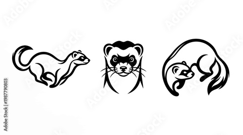 Ferret Line Art Set on White Background