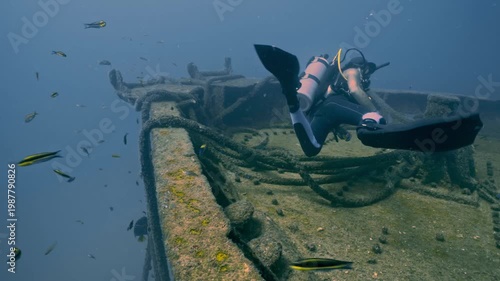 Professional diver swimming near an old, rusty shipwreck surrounded by schools of small fish