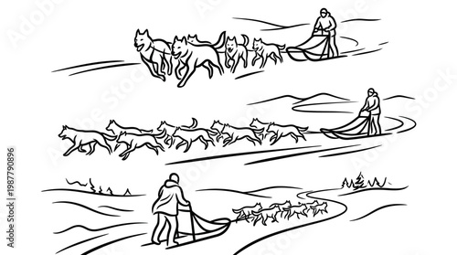Dog Sledding in Snowy Landscape Sketches