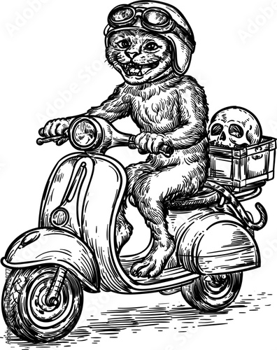 cat on scooter smile wear helmet and google with basket of skull head behind