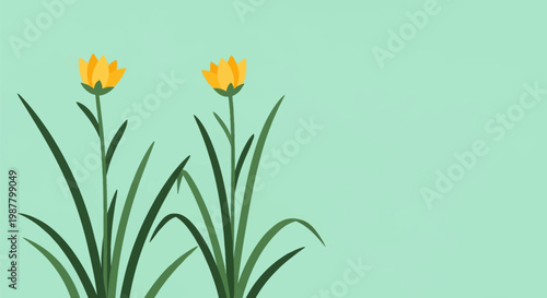 Minimalist vector illustration of two yellow wildflowers with dark green long leaves and stems set against a solid mint green background with ample copy space on the right side.