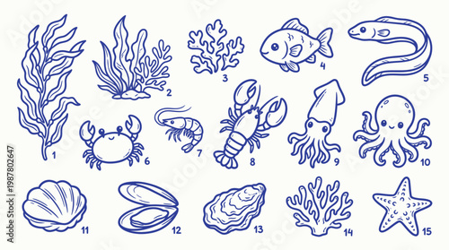A charming collection of hand-drawn blue line art illustrations depicting various marine life and underwater flora, including seaweed, coral, fish, crustaceans, mollusks, and echinoderms.