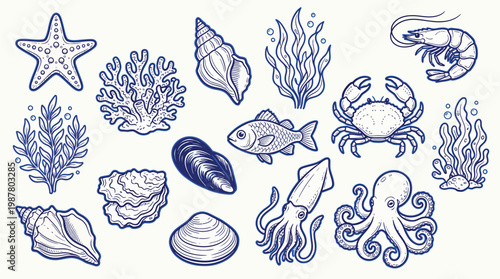 A collection of marine life , including various seashells, starfish, coral, seaweed, fish, shrimp, crab, squid, octopus, and oysters, presented in a blue line art style on a white background.