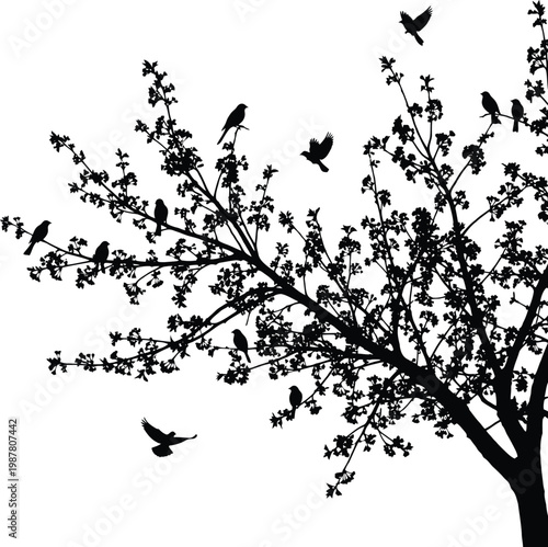 Birds Flying Around Tree Silhouette on White Background