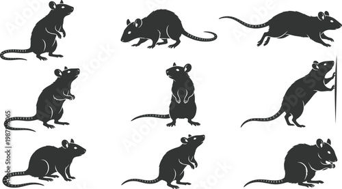 Rat silhouettes collection, rodents in various poses including standing, running and sitting, black vector set for pest control, laboratory, wildlife and animal design use
