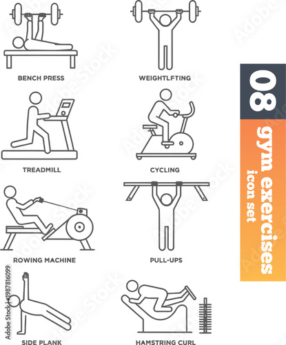 Gym exercise illustrations a visual guide to strength training equipment