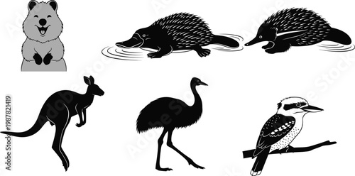 Black silhouette of australian animals collection with black and white graphic design iconic animals australia silhouette kangaroo kookaburra platypus wildlife collection illustration