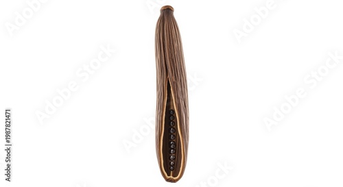 A brown hair straightener on a white background isolated on white background