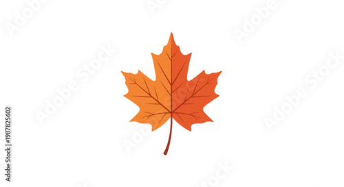 Autumn Maple Leaf - Vibrant Orange Fall Foliage Isolated on White