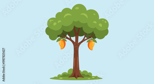 Cartoon Mango Tree with Ripe Fruits Hanging on Branches, Healthy Green Foliage