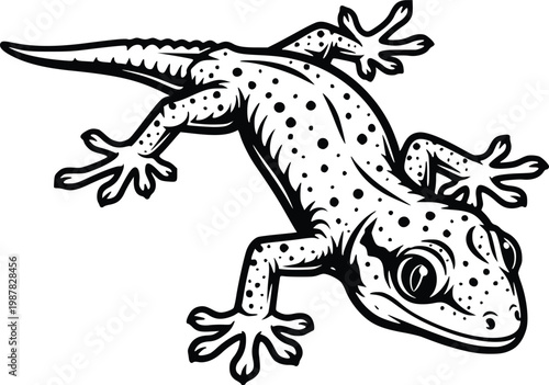 Spotted Gecko Hand Drawn Vector Line Art Black and White Lizard Illustration Top View