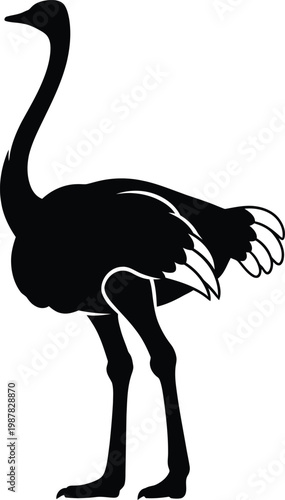 Black silhouette of an ostrich standing on a white background ostrich silhouette black and white 1 bird