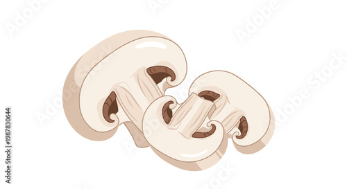 Two slices of fresh white button mushroom are shown from a side view as a culinary ingredient illustration on a white background.