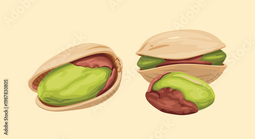 Three pistachios are displayed with one being fully shelled and two still partially inside their open tan colored shells.