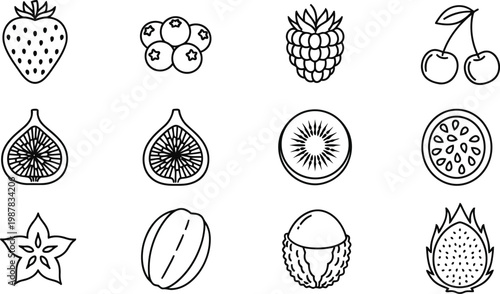 Set of various fresh fruits outline icons with strawberry blueberry raspberry dragonfruit