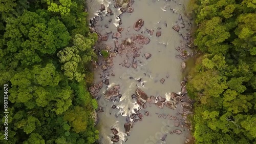Aerial footage of a river in rainforest of Madagascar island.