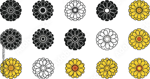 Black and white and yellow flower in rows flowers