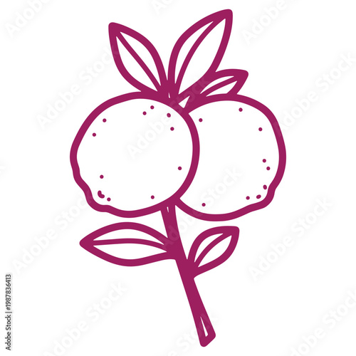 Illustrated pair of vibrant oranges with leaves on a transparent background perfect for design projects