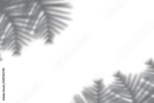 Palm leaves shadow overlay isolated on transparent background