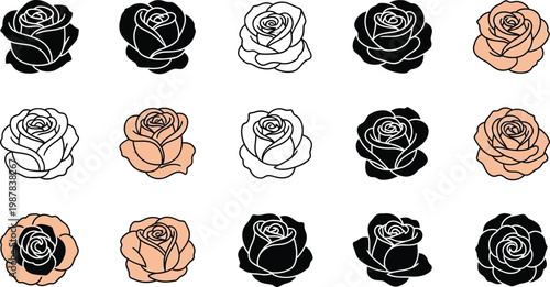 Black and peach roses in various line styles on white background