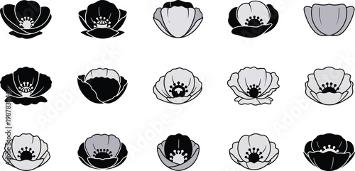 Black and white flower in various shades and styles gray floral