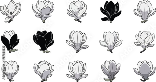 Black and white lotus flower in various styles and shades gray