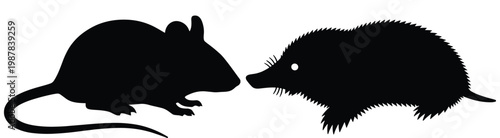 Flat vector illustration of mouse silhouette and mole silhouette facing each other, rodent and insectivore comparison, isolated small animal design