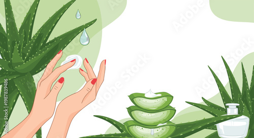 Skincare concept featuring aloe vera plants and hands applying cream with drops of juice representing natural beauty and health care.