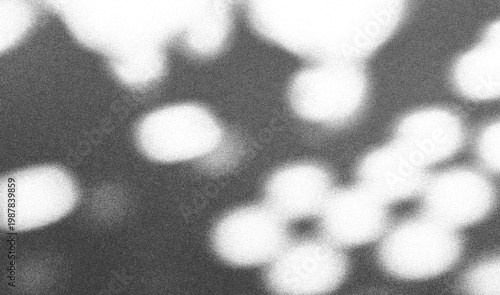 Shadow and Light Overlay Background. Sunlight Effect of Tree Leaves and Sun on the Wall. Transparent Plant Shadows