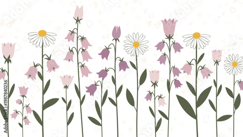 Wildflower meadow illustration displays bellflowers and daisies in a horizontal line for nature and spring garden backgrounds.